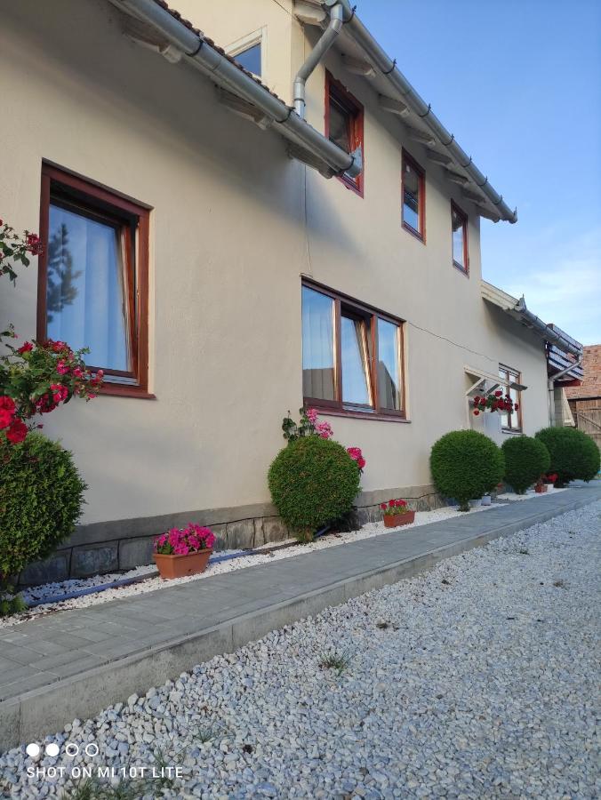 Ferienwohnung Rita Vendeghaz Ciumani Exterior foto
