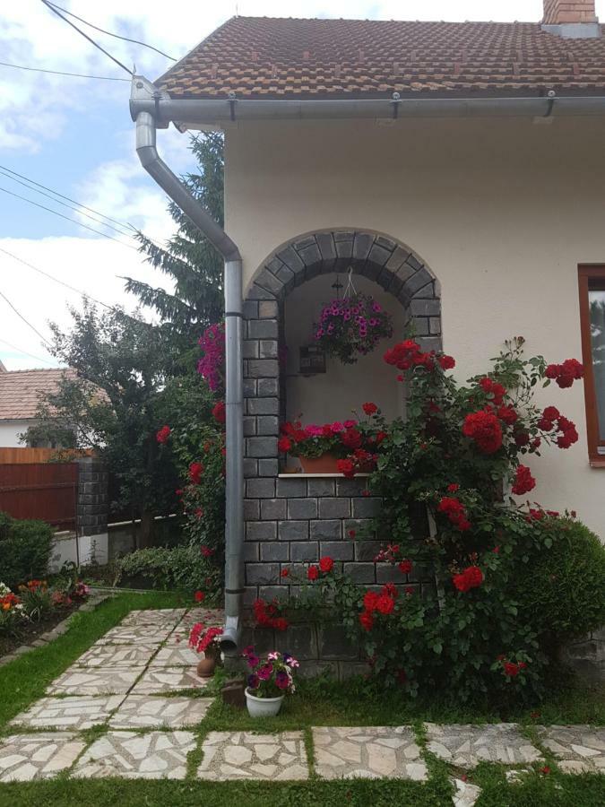 Ferienwohnung Rita Vendeghaz Ciumani Exterior foto